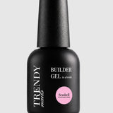 Builder Gel in a Bottle Seashell